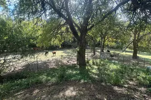 345 Hopper Rd, Whitewright, TX 75491 - Photo 6