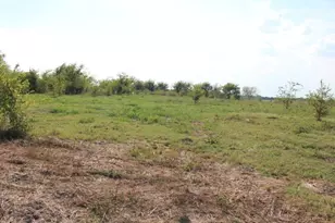 13507 Plain Ln, Kemp, TX 75143 - Photo 24
