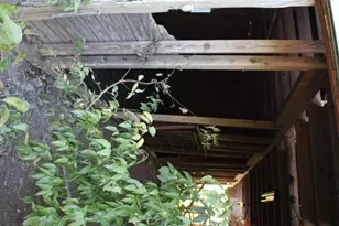 13507 Plain Ln, Kemp, TX 75143 - Photo 28