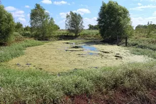 13507 Plain Ln, Kemp, TX 75143 - Photo 30