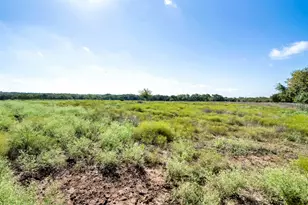 1106 Andy Thomas Rd, Whitewright, TX 75491 - Photo 30
