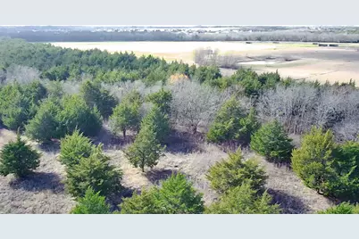 Cr 656 County Road 656, Farmersville, TX 75442 - Photo 4