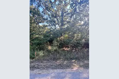 291 Buena Vista, Malakoff, TX 75148 - Photo 2