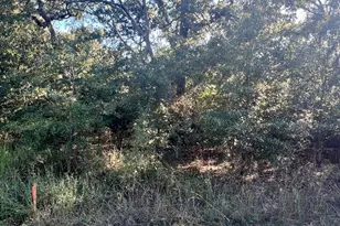 291 Buena Vista, Malakoff, TX 75148 - Photo 2