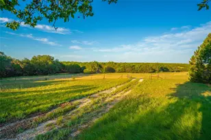 2455 County Road 699, Lometa, TX 76853 - Photo 22