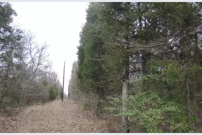 Tbd County Road 4455, Point, TX 75472 - Photo 1