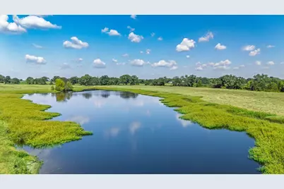 31 Acres Texas Highway 19 S, Brashear, TX 75420 - Photo 4