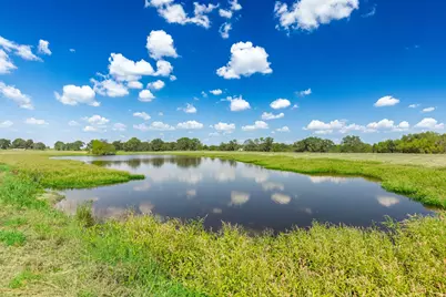 31 Acres Texas Highway 19 S, Brashear, TX 75420 - Photo 2