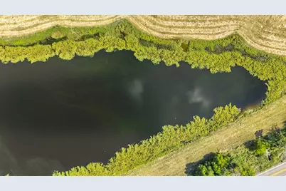 31 Acres Texas Highway 19 S, Brashear, TX 75420 - Photo 24