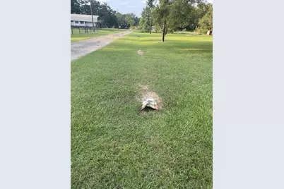41And42 Lisa Lane, Streetman, TX 75859 - Photo 1