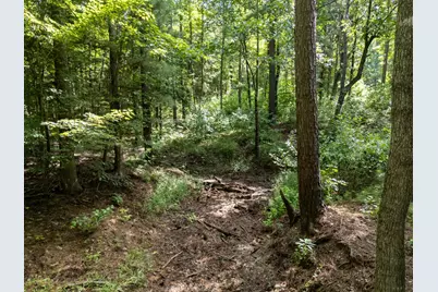 0 Ginger Road, Gilmer, TX 75644 - Photo 18