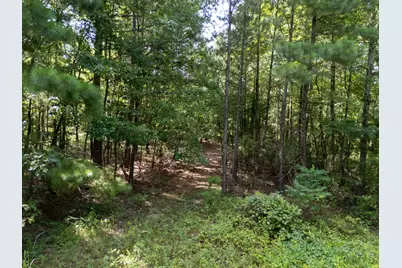 0 Ginger Road, Gilmer, TX 75644 - Photo 16