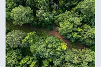 0 Ginger Road, Gilmer, TX 75644 - Photo 4