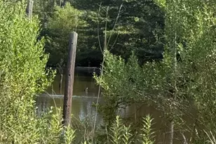 928 Co Rd 1660, Alba, TX 75410 - Photo 16