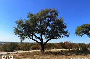Lot 30 Colt Rd, Springtown, TX 76082 - Photo 1