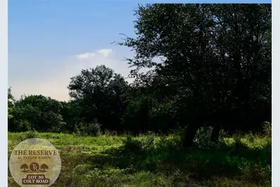 Lot 30 Colt Road, Springtown, TX 76082 - Photo 12