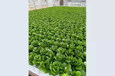 411 Koldin Drive, Aledo, TX 76008 - Photo 12