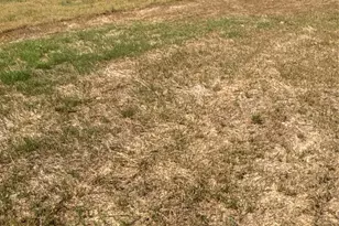 133 Cemetery Rd, Covington, TX 76636 - Photo 20