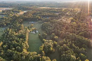 374 Co Rd 104, Carthage, TX 75633 - Photo 40