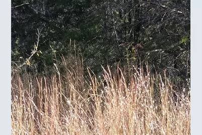 Lot 20 Sunrise W, Corsicana, TX 75109 - Photo 18