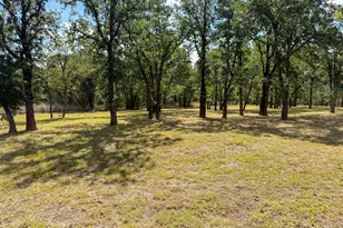 114 Redtail Ct, Weatherford, TX 76088 - Photo 38