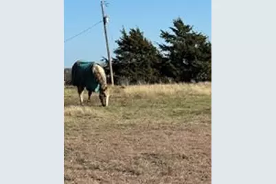 102 Red Maple Road, Gunter, TX 75058 - Photo 4