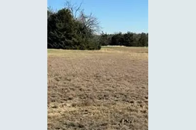 102 Red Maple Road, Gunter, TX 75058 - Photo 8