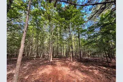 00 Hwy 49, Jefferson, TX 75657 - Photo 24