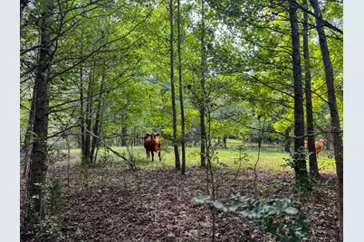 00 Hwy 49, Jefferson, TX 75657 - Photo 36