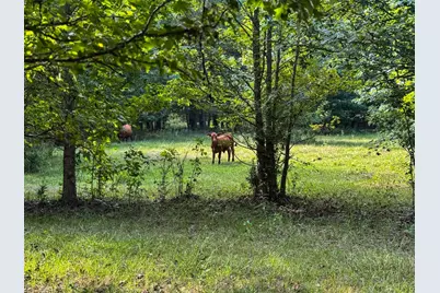 00 Hwy 49, Jefferson, TX 75657 - Photo 2