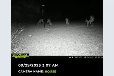 205 Country Lane, Malakoff, TX 75148 - Photo 28