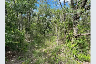 153 Julie Drive, Mineral Wells, TX 76067 - Photo 6