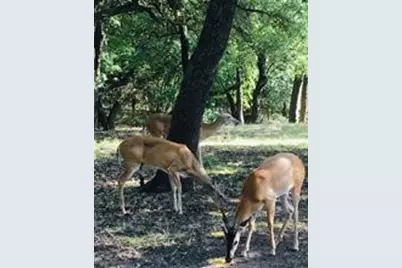 15075 Golf Drive, Whitney, TX 76692 - Photo 12