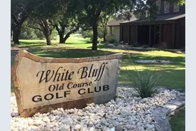 15075 Golf Drive, Whitney, TX 76692 - Photo 6