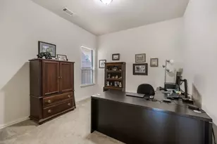 3617 Plum Vista Pl, Arlington, TX 76005 - Photo 28