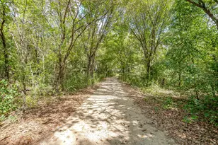 2900 County Rd 425, Cleburne, TX 76031 - Photo 40