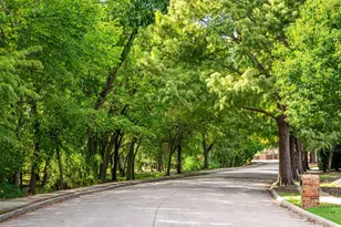 920 White River Dr, Allen, TX 75013 - Photo 4