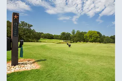 173 Sailfish Point Drive, Gordonville, TX 76245 - Photo 14