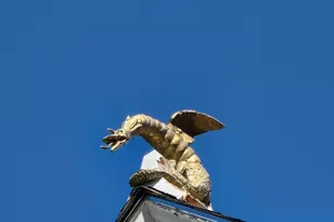 802 Fitzhugh Ave, Paris, TX 75460 - Photo 8