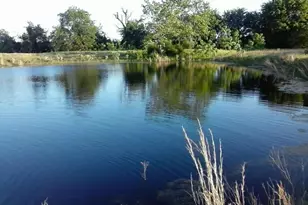 661 Vzcr 4406, Ben Wheeler, TX 75754 - Photo 40