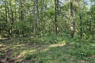 Tbd Strickland Rd, Big Sandy, TX 75755 - Photo 1