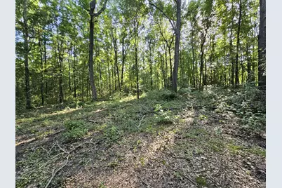 Tbd Strickland Road, Big Sandy, TX 75755 - Photo 2