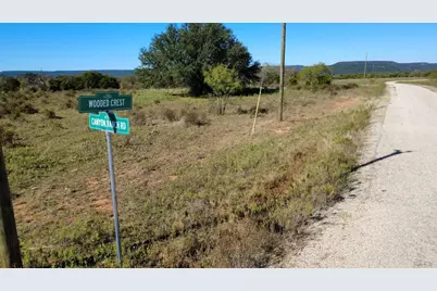 170 Wooded Crest Drive, Palo Pinto, TX 76484 - Photo 4