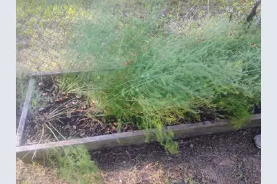 510 US Business Highway 82, Avery, TX 75554 - Photo 10