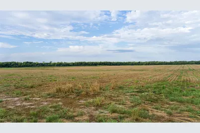 00 County Road 4380, Lake Creek, TX 75450 - Photo 16