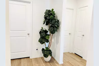 5223 Lavender Drive, Princeton, TX 75407 - Photo 8