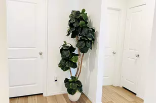 5223 Lavender Dr, Princeton, TX 75407 - Photo 8