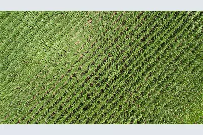 Tbd Siler Road, Moody, TX 76557 - Photo 4