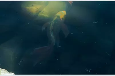 6319 Turner Way, Dallas, TX 75230 - Photo 32