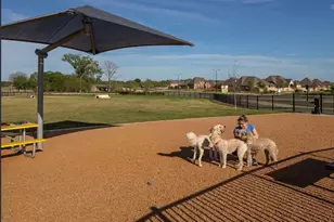 7605 Blanco Trl, McKinney, TX 75071 - Photo 40